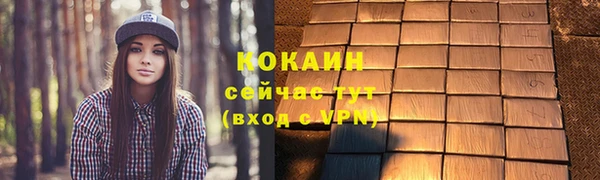 прущие грибы Александровское