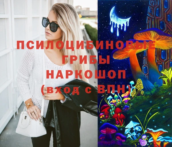 прущие грибы Кущёвская