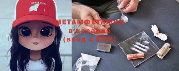 прущие грибы Александровское