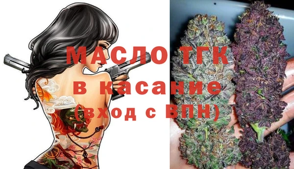 прущие грибы Александровское