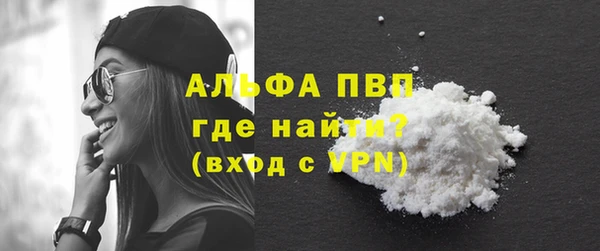 прущие грибы Александровское