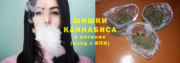 прущие грибы Александровское