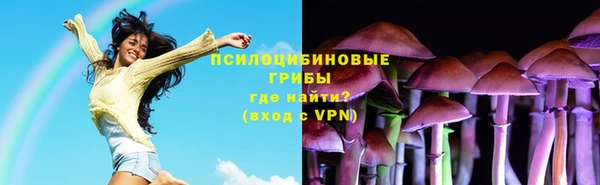 прущие грибы Александровское