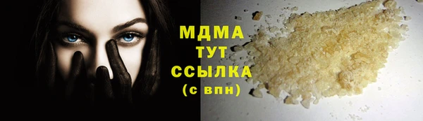 прущие грибы Александровское