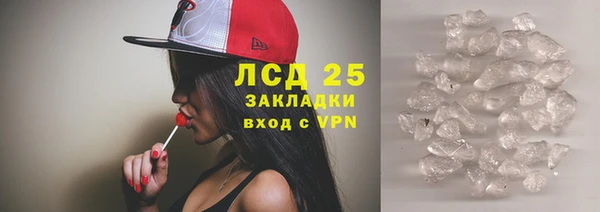 прущие грибы Александровское