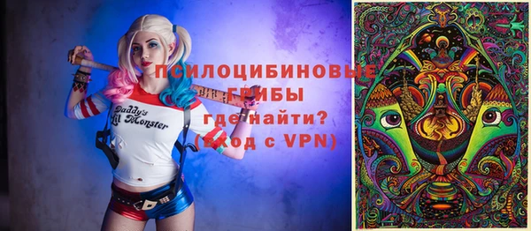 прущие грибы Александровское