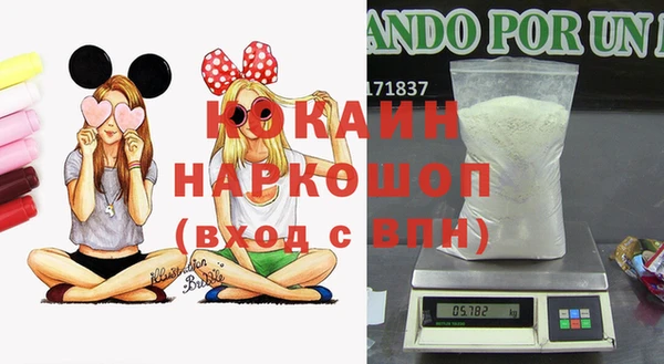 прущие грибы Кущёвская