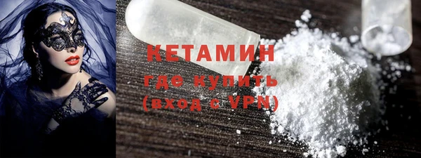 прущие грибы Александровское