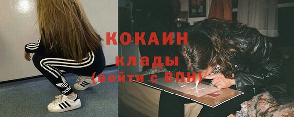 прущие грибы Александровское