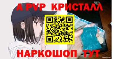 ECSTASY Гай