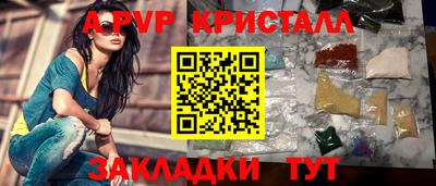 ECSTASY Гай