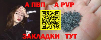 ECSTASY Гай