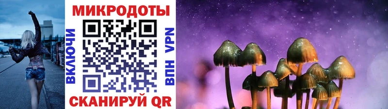 купить наркотик  Пятигорск  Псилоцибиновые грибы Psilocybine cubensis 