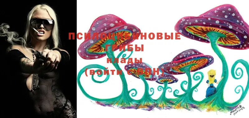 Галлюциногенные грибы Magic Shrooms  Пятигорск 