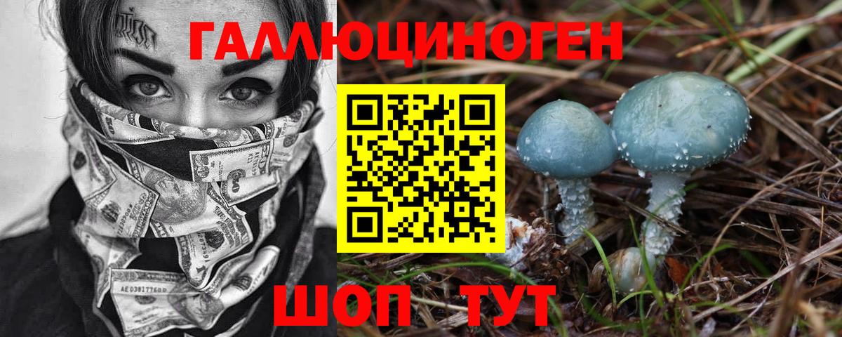 Пятигорск  магазин продажи   Вход с VPN  Псилоцибиновые грибы MAGIC MUSHROOMS 