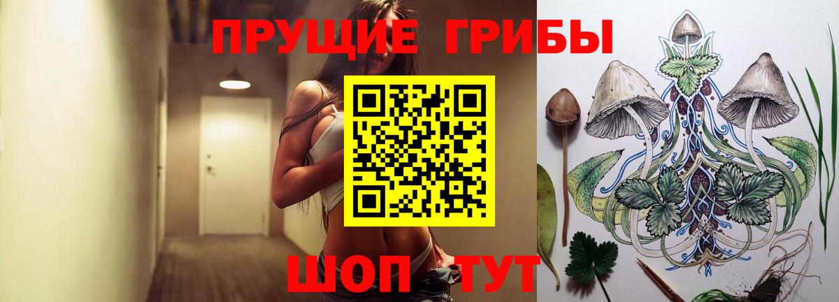 Псилоцибиновые грибы Magic Shrooms Пятигорск