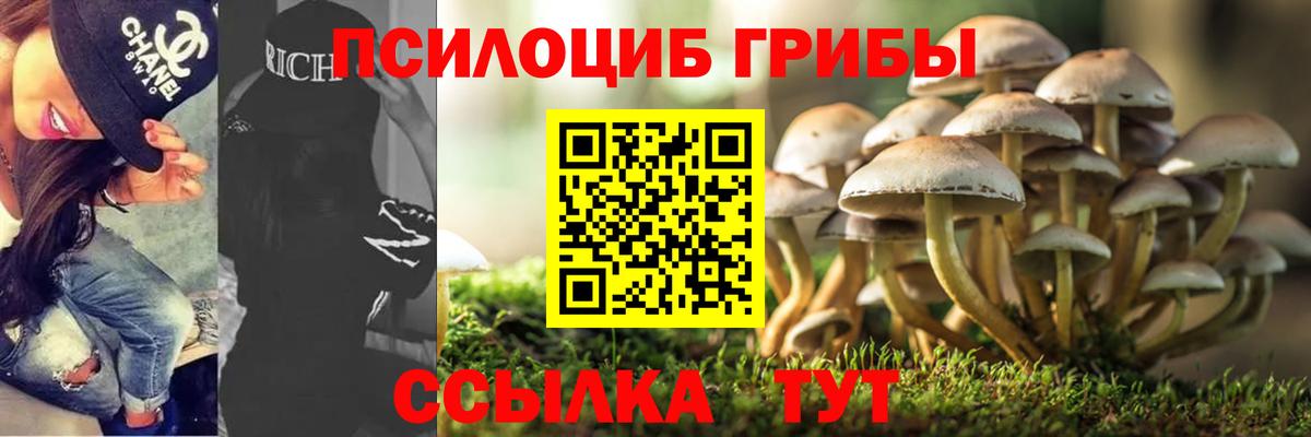 Псилоцибиновые грибы Magic Shrooms  Пятигорск  Галлюциногенные грибы мухоморы 